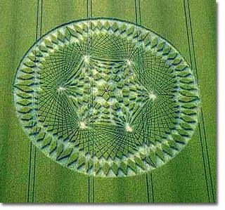 Crop Circle 22